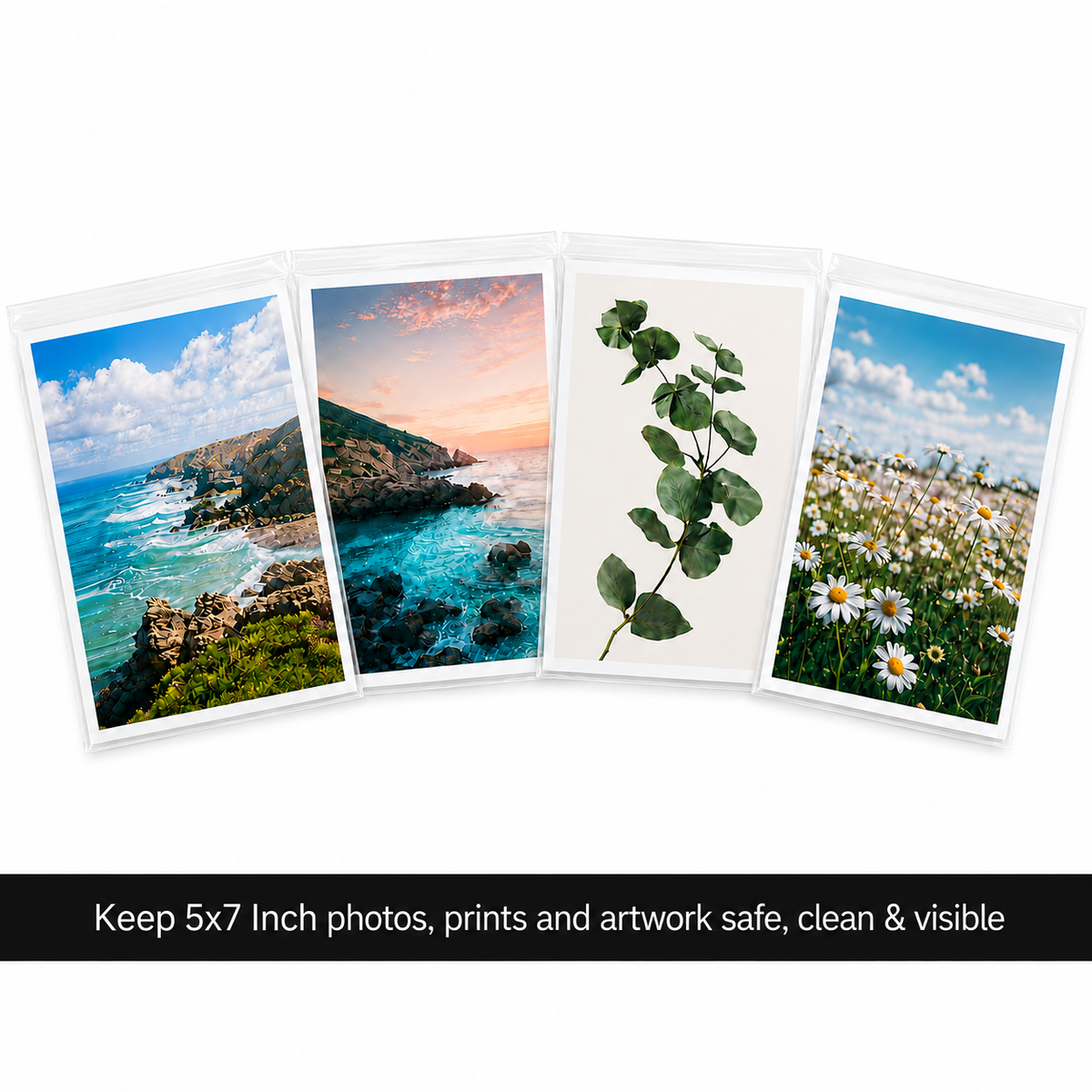 5×7 Cello Bags